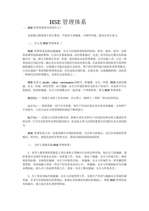 HSE管理体系