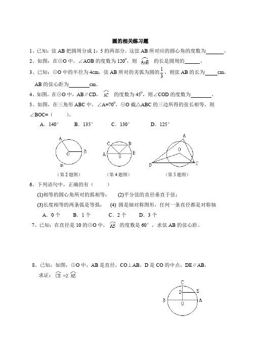 初中数学圆练习题(含答案)