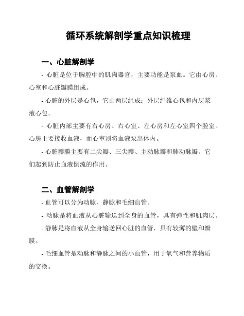 循环系统解剖学重点知识梳理