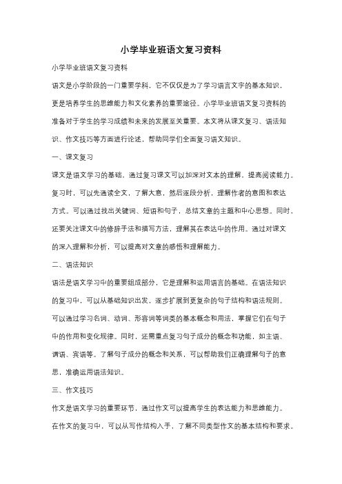 小学毕业班语文复习资料