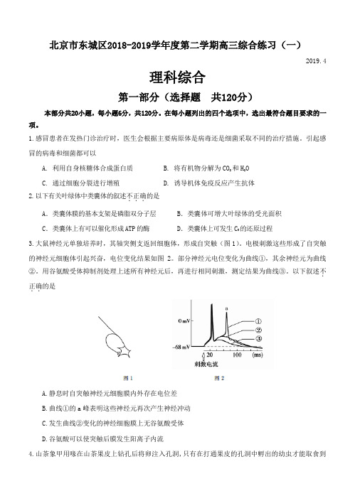 北京市东城区2018学年度第二学期高三综合练习(一)理综生物试题(含答案)