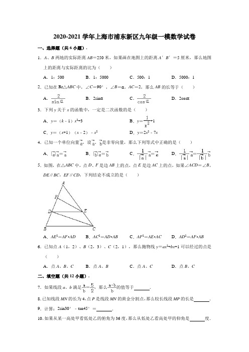 2020-2021学年上海市浦东新区九年级中考一模数学试卷(含解析)