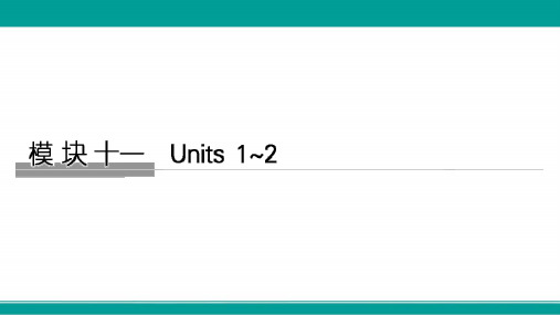 高考英语译林版课件模块十一Units1~2