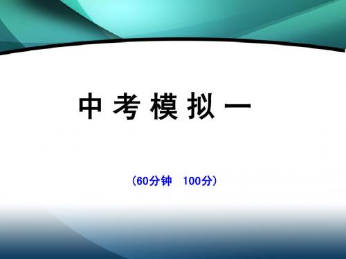 历史:2011年中考模拟冲刺课件一
