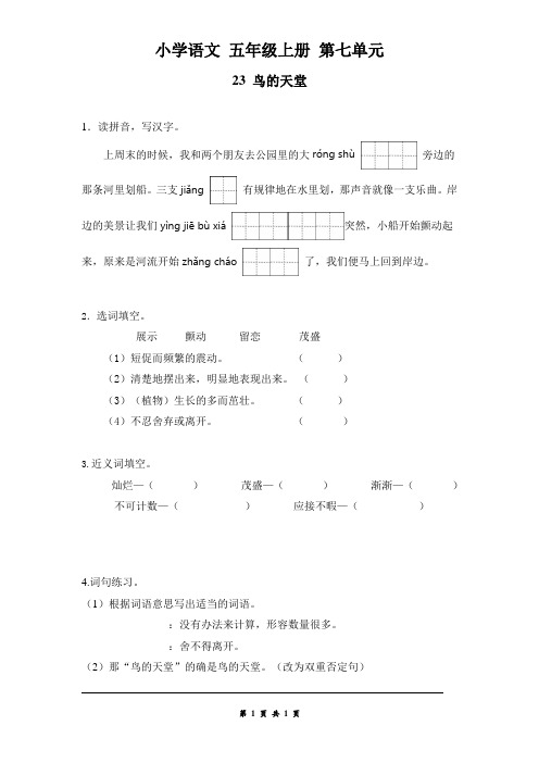  五年级上册语文第7单元  课课练五上23 鸟的天堂