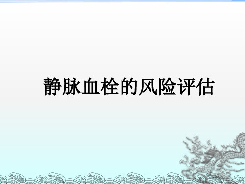 血栓评估PPT课件