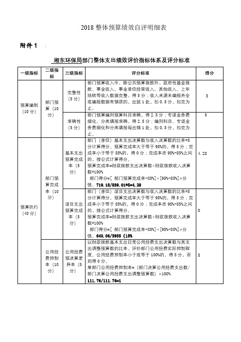 2018整体预算绩效自评明细表【模板】