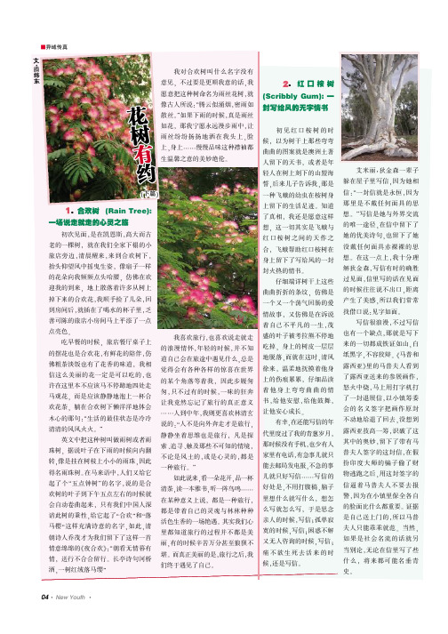 花树有约(下篇)