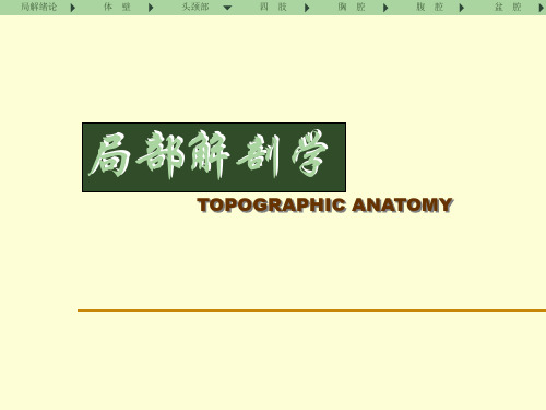 医学课件 局部解剖学 头颈部