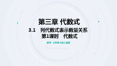 3.1 列代数式表示数量关系  第1课时  代数式  课件  人教版数学七年级上册  