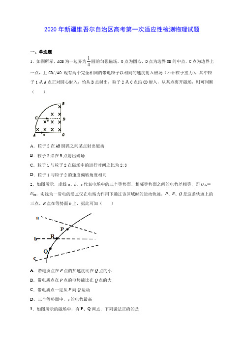 2020年新疆维吾尔自治区高考第一次适应性检测物理试题(含答案解析)