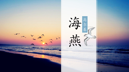 《海燕》ppt课件