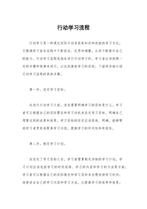 行动学习流程