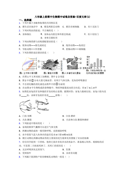 八年级上册期中生物期中试卷及答案-百度文库(1)