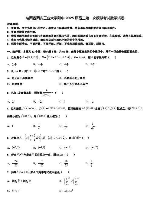 陕西省西安工业大学附中2025届高三第一次模拟考试数学试卷含解析