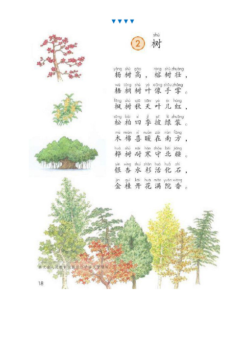 小学语文二年级上册语文识字2《树》微课教学知识点课件教案