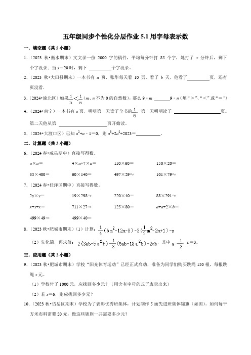 5.1用字母表示数(拔尖作业)2024-2025学年五年级上册数学人教版(含解析)