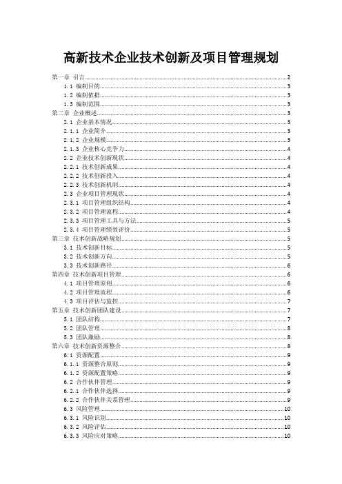 高新技术企业技术创新及项目管理规划