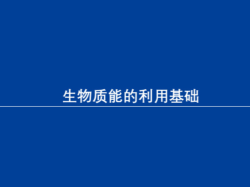 新能源发电技术课件：生物质能的利用基础