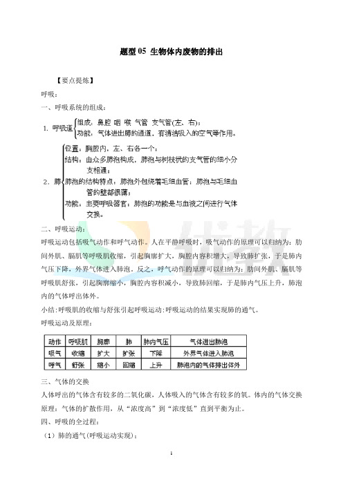 最新中考生物_《生物体内废物的排出》题型专项(解析版)