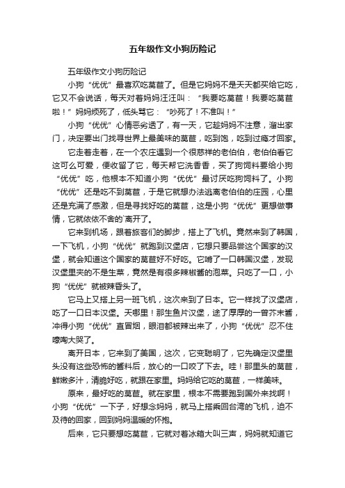 五年级作文小狗历险记