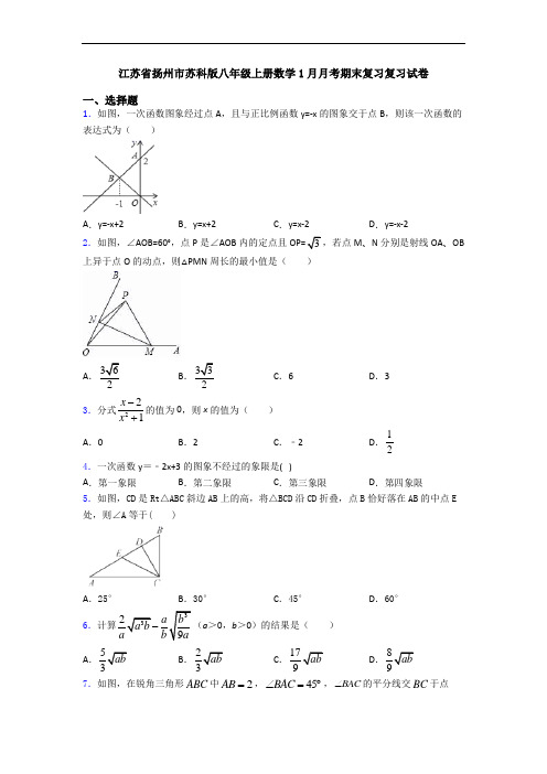 江苏省扬州市苏科版八年级上册数学1月月考期末复习复习试卷