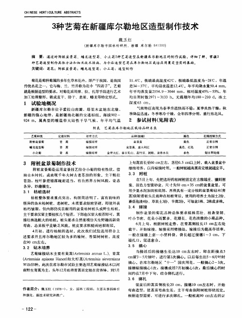 3种艺菊在新疆库尔勒地区造型制作技术