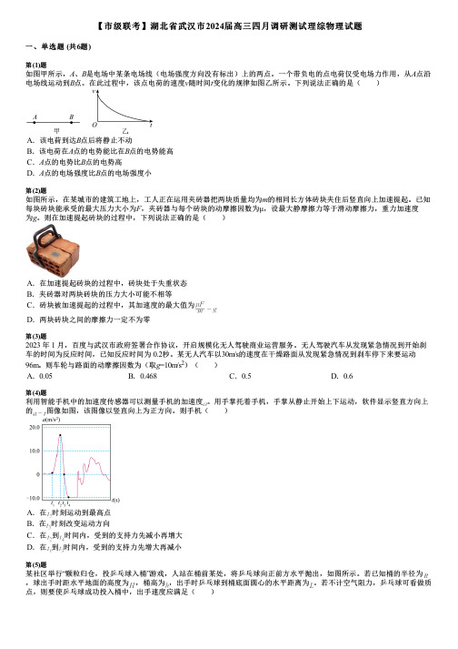 【市级联考】湖北省武汉市2024届高三四月调研测试理综物理试题