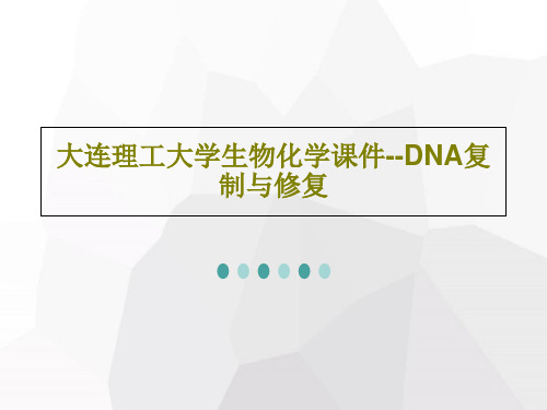 大连理工大学生物化学课件--DNA复制与修复共62页