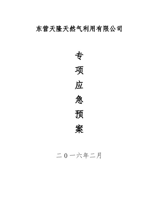 城镇燃气专项应急预案