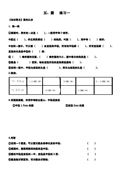 六年级数学圆的同步练习