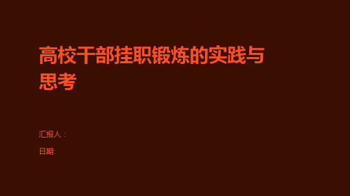 高校干部挂职锻炼的实践与思考