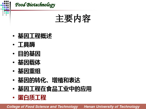 蛋白质工程