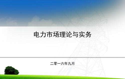 电力市场理论与实务(上)