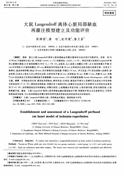 大鼠Langendroff离体心脏局部缺血再灌注模型建立及功能评价