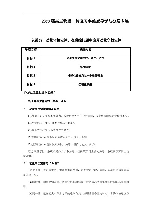 专题37 动量守恒定律、在碰撞问题中应用动量守恒定律(解析版)