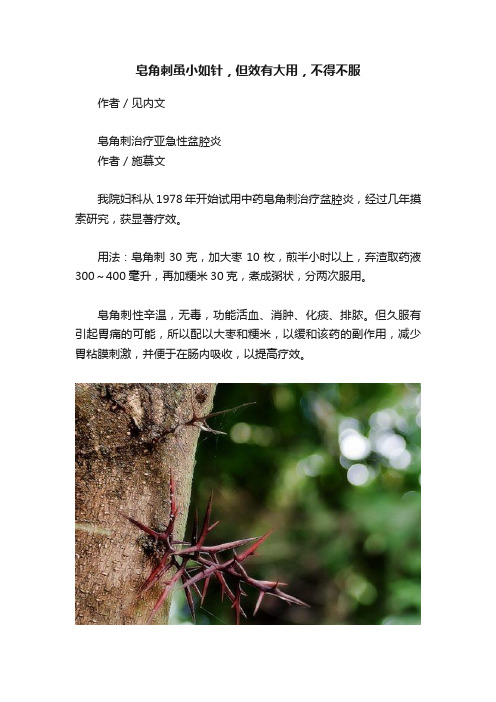 皂角刺虽小如针，但效有大用，不得不服