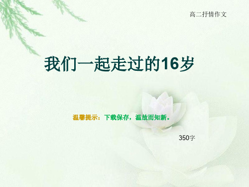 高二抒情作文《我们一起走过的16岁》350字