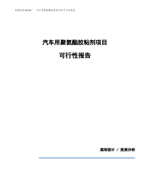 汽车用聚氨酯胶粘剂项目可行性报告(投资建议模板参考)