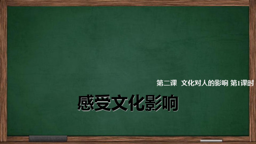 高中政治必修3精品课件10：2.1感受文化影响