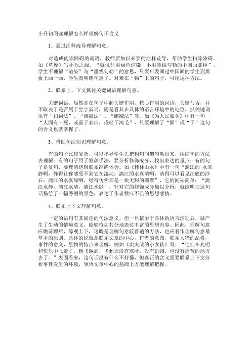 小升初阅读理解怎么样理解句子含义