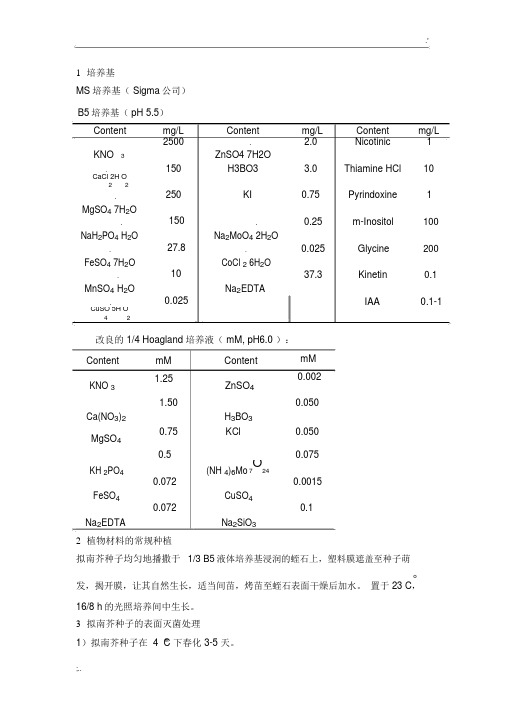 拟南芥种植及处理基本方法