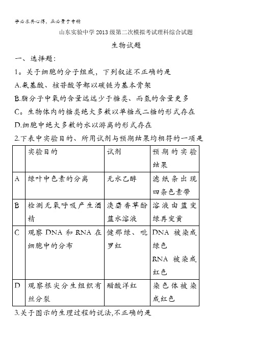 实验中学2013级第二次模拟考试理科综合生物试题 含答案