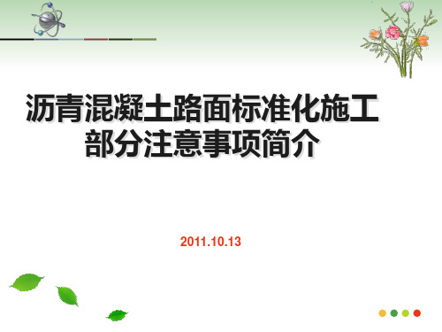 沥青路面标准化建设1013精品PPT课件