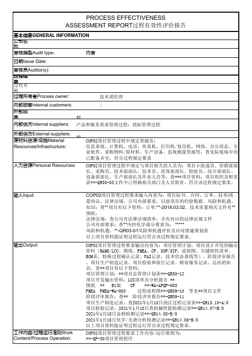 TS22163项目管理过程有效性评价报告范例