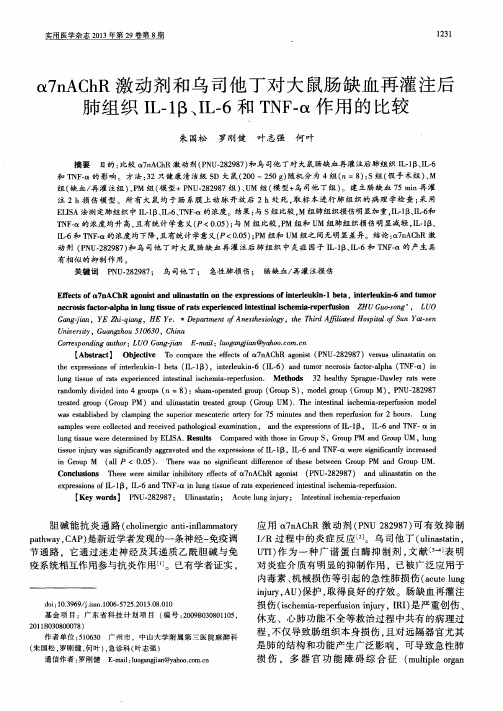 α7nAChR激动剂和乌司他丁对大鼠肠缺血再灌注后肺组织IL-1β、IL-6和TNF-α作用的比较