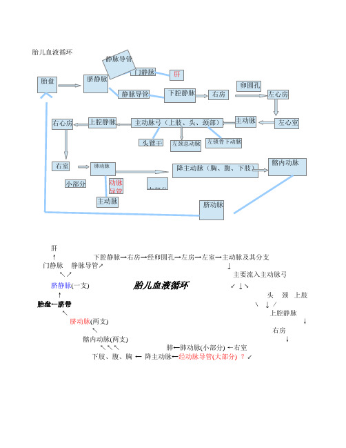 胎儿血液循环示意图