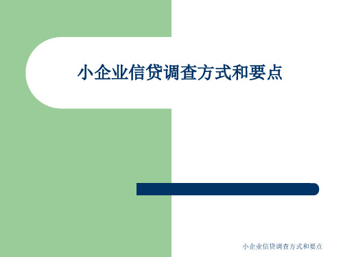 小企业信贷调查方式和要点 ppt课件