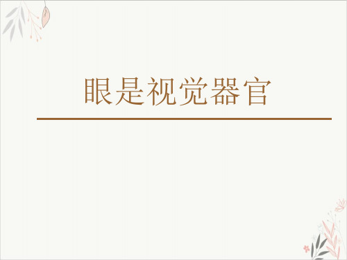 眼科解剖及生理课件-PPT