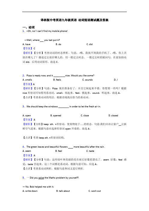 译林版中考英语九年级英语 动词短语测试题及答案